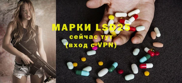 mdpv Богородицк