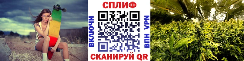 Каннабис VHQ  сколько стоит  Очёр 